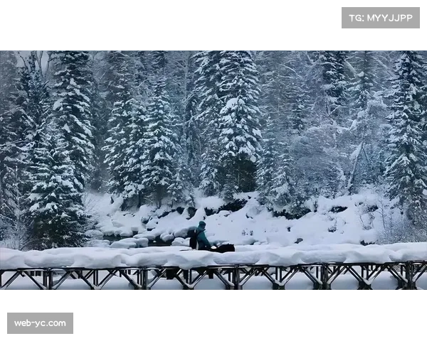 通讯：猛龙告别加拿大航空中心球馆，球迷高喊“北境永不遗忘”